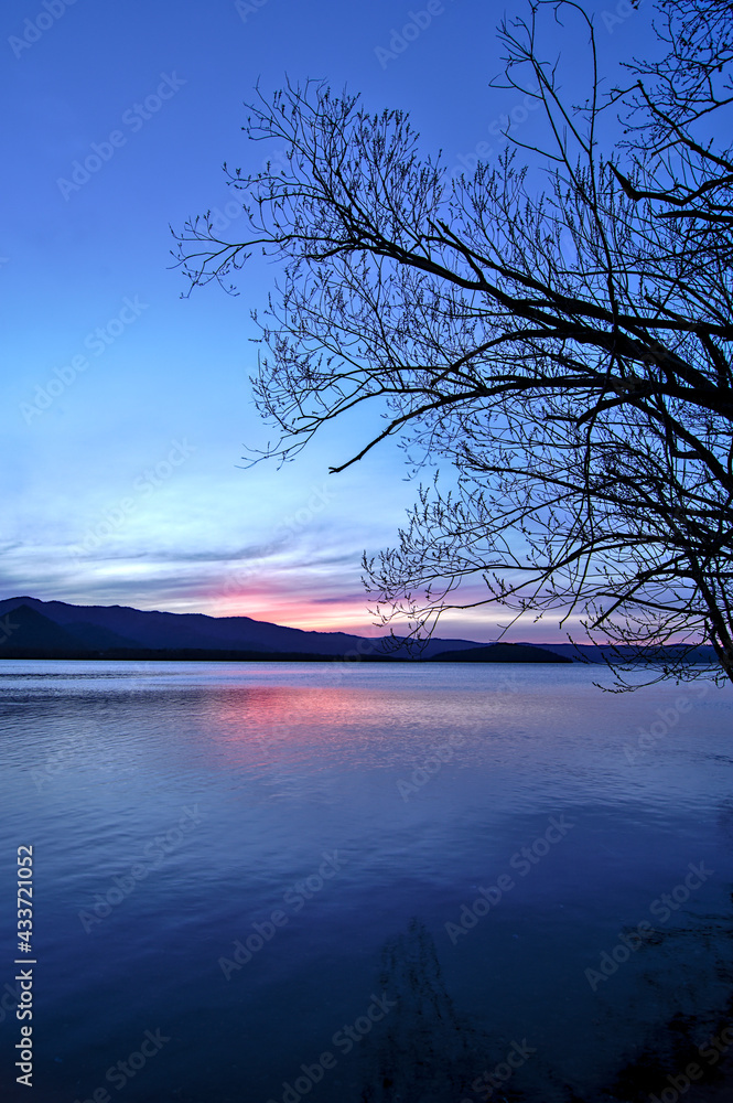 鮮やかな色彩の黄昏の空と湖畔の樹木の影。日本の北海道の屈斜路湖。