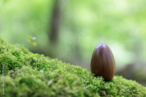 森の中の木でできた卵