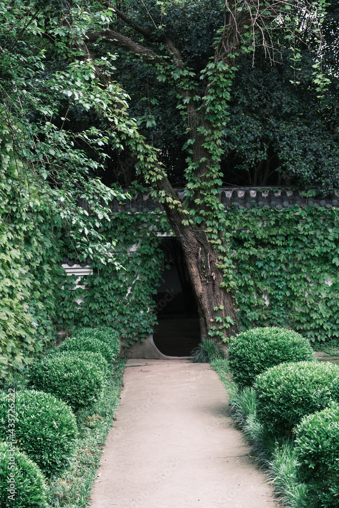 Naklejka premium Early spring scenery of Moshan Bonsai Garden in East Lake, Wuhan, Hubei