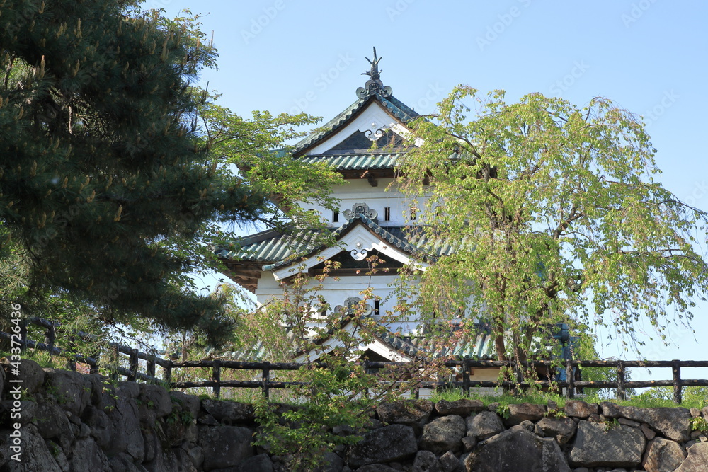 Fototapeta premium 弘前城天守閣