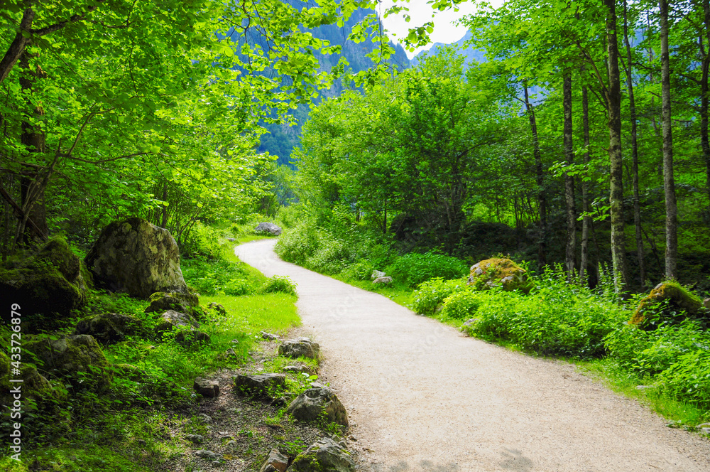 Trail on through the mountains to the Obersee, near the Königssee, German. Bavarian alps. Trail on through the mountains to the Obersee, near the Königssee, German. Bavarian alps.