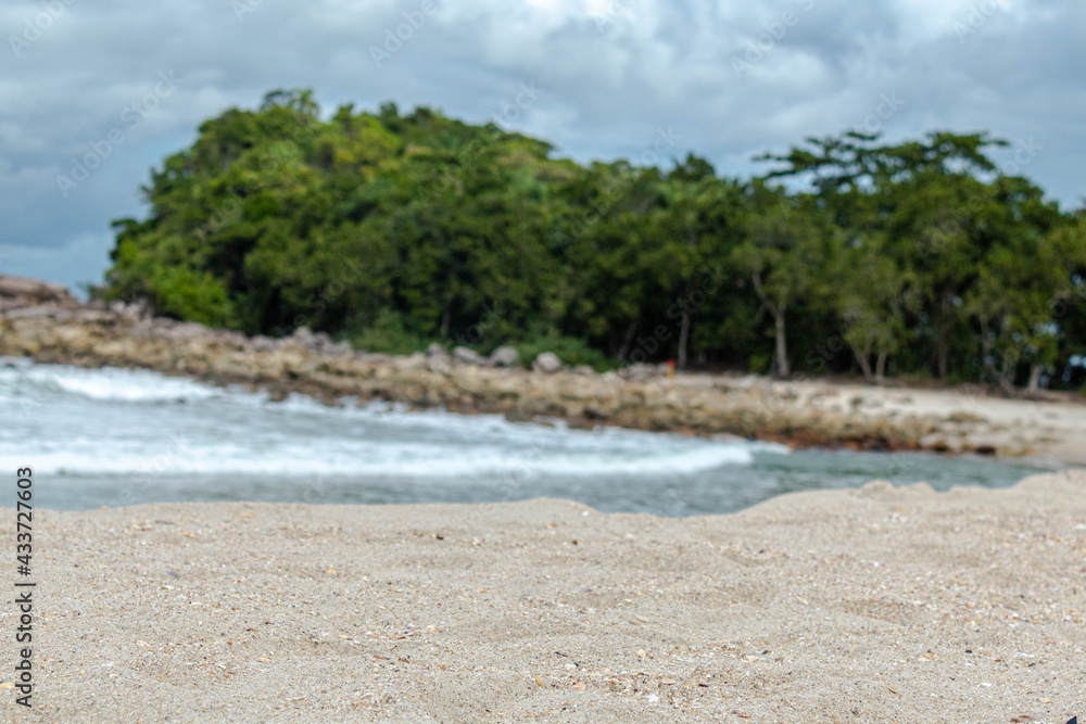 beach sand in focus, beach and forest background beach sand in focus, beach and forest background