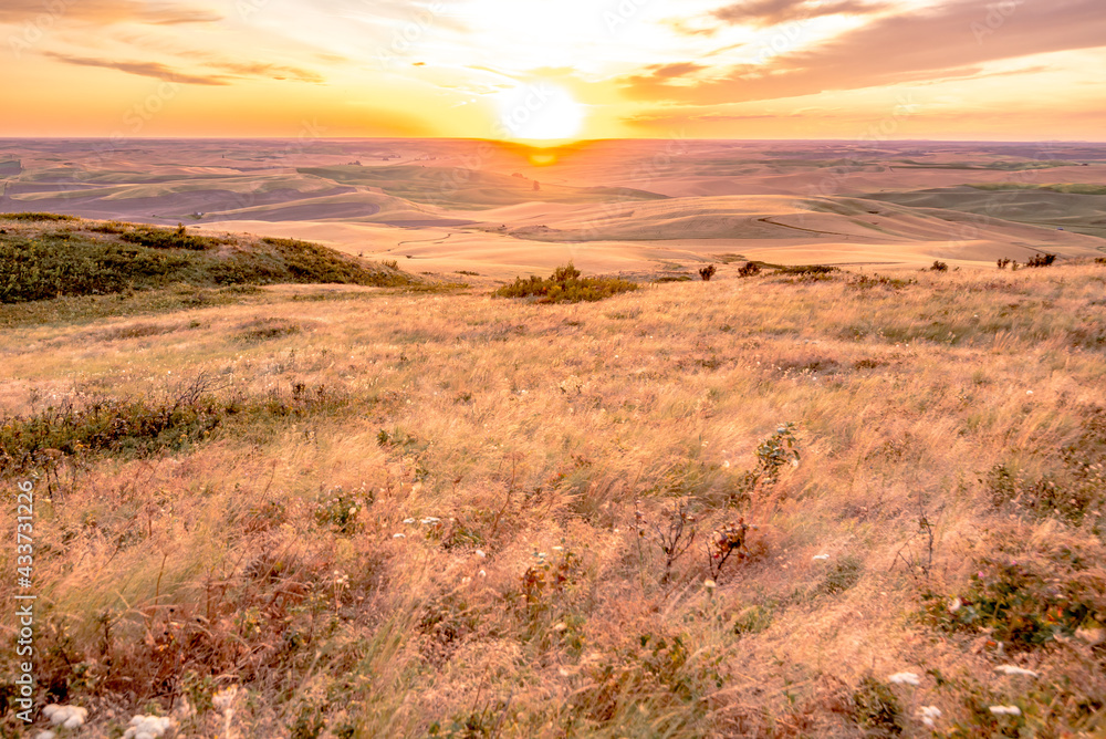 Beautiful landscape of crop fields in the Palouse region of eastern Washington Beautiful landscape of crop fields in the Palouse region of eastern Washington