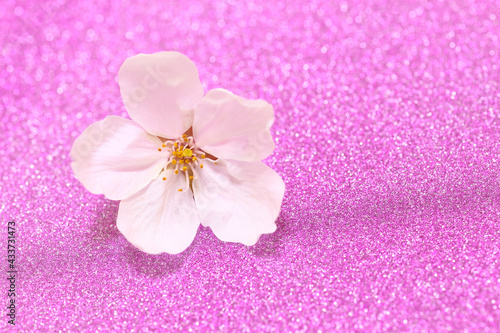 桜の花 ピンクの背景