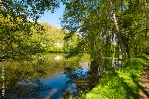 An der Yonne im Burgund in Frankreich