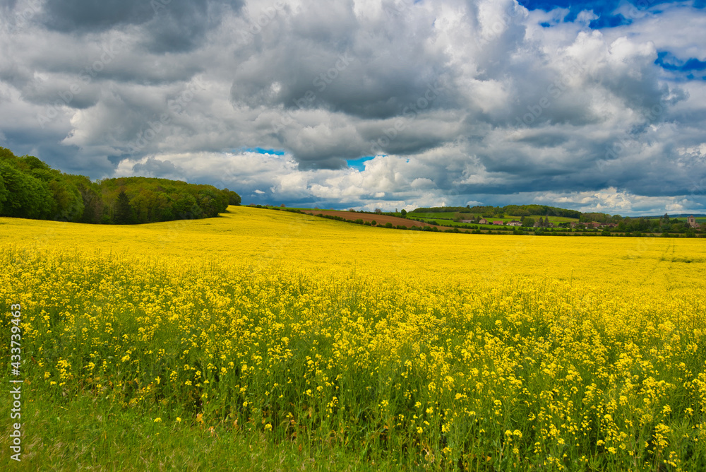 Ragspfeld bei Licheres sur Yonne im Burgund