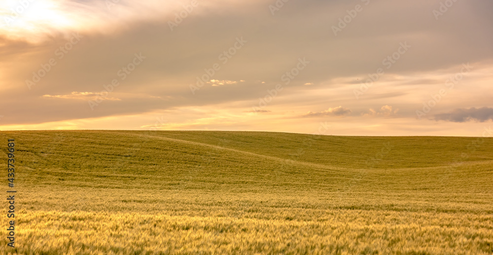 Rolling hills and Farm Land at palouse washington