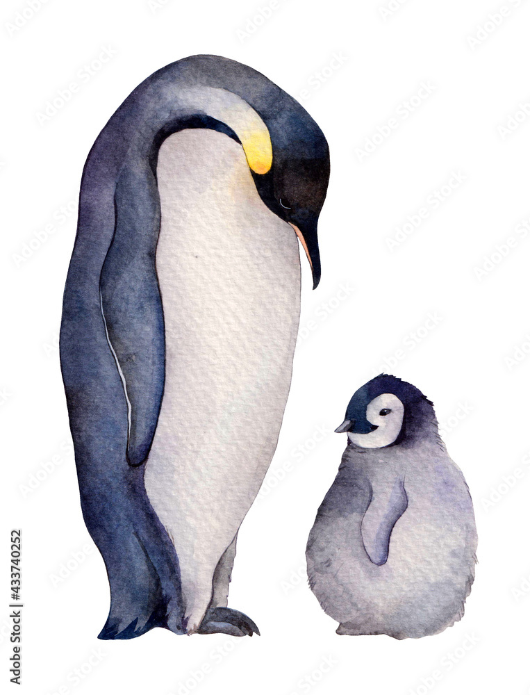 Naklejka premium Watercolor emperor penguins family adult and child. Hand drawn illustration isolated on white background.