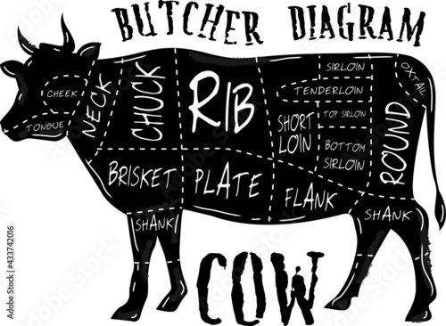 Cut of beef set. Poster Butcher diagram - Cow. Vintage typographic hand-drawn. Vector illustration