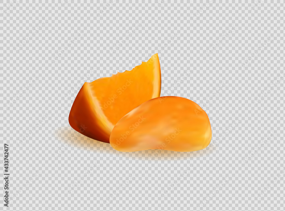 Vector collection of fresh ripe oranges and tangerines with leaves. Vector collection of fresh ripe oranges and tangerines with leaves.