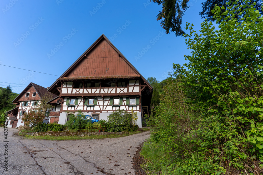 Wanderung im Schwarzwald Wanderung im Schwarzwald