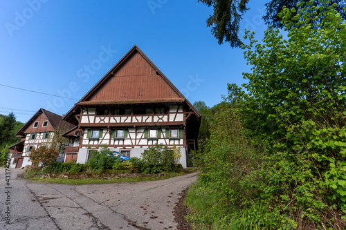 Fototapeta Naklejka Na Ścianę i Meble -  Wanderung im Schwarzwald