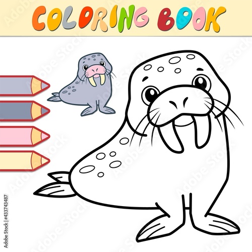 Coloring book or page for kids. walrus black and white vector