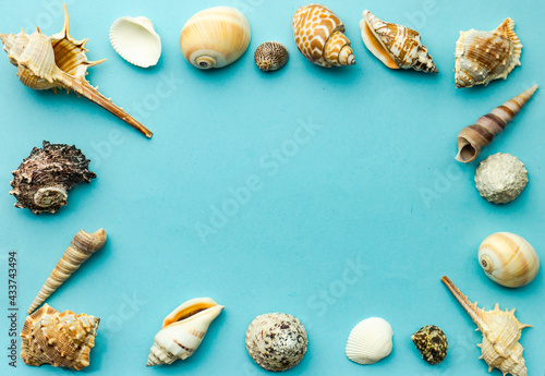 Summer background with sea shells