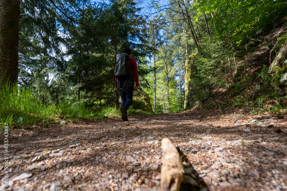 Fototapeta premium Felsenweg im Schwarzwald bei Ottenhöfen.