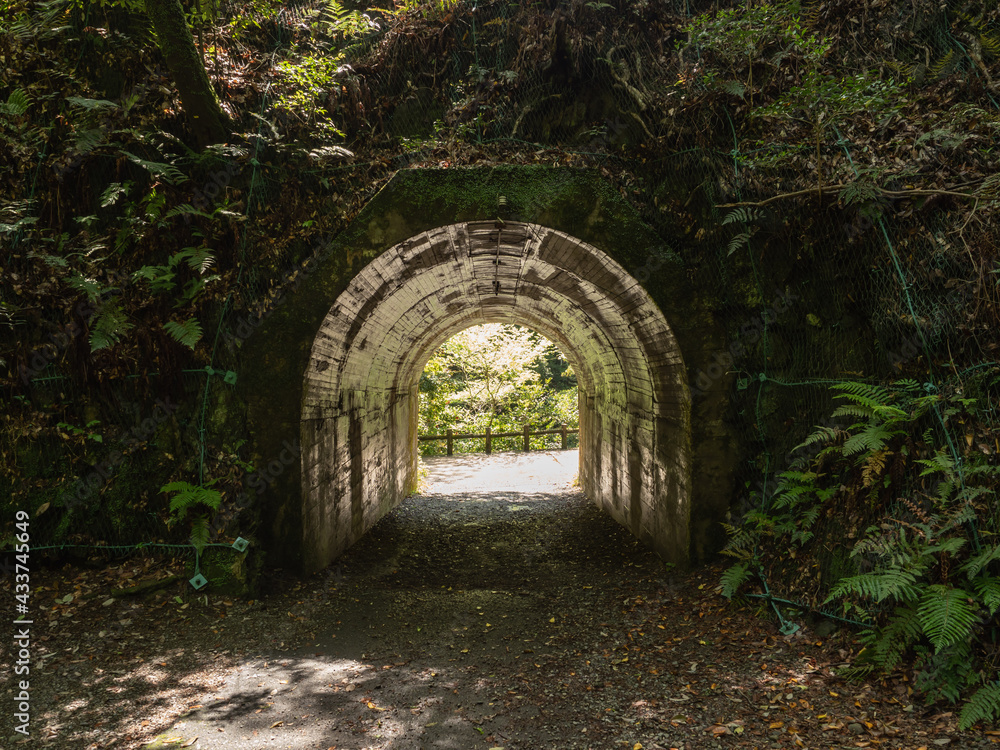 山の中の古いトンネル