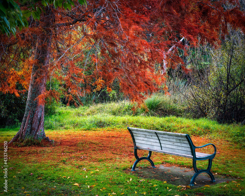 Waikoino - Corromandel - New Zealand - Autumn Day  © michael