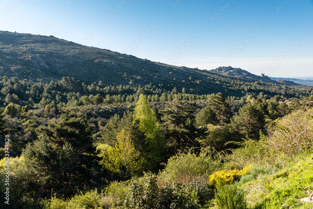 Hiking trail in the Barranca area in Navacerrada, Madrid, Spain