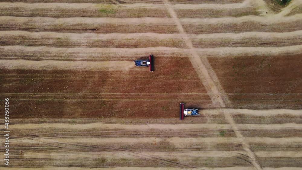 Sowing. Side view. Two combine operators go to each other in the field, harvesting. Sowing. Side view. Two combine operators go to each other in the field, harvesting.