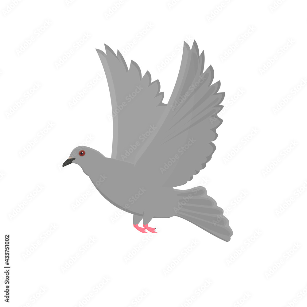 Fototapeta premium Pigeon. Bird pigeon, vector illustration