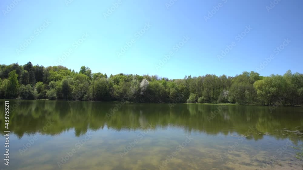 abandoned lake pond in the forest abandoned lake pond in the forest