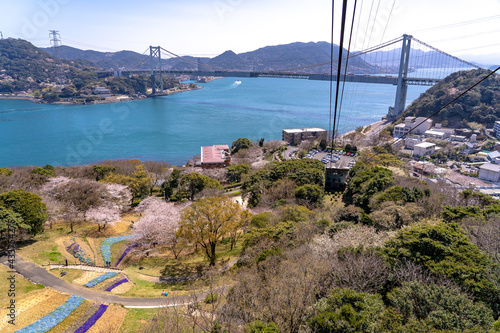 山口県下関市　火の山公園からのトルコチューリップ園と関門海峡の眺め