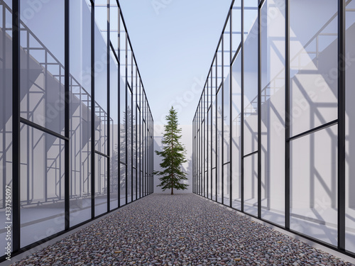 River stone garden with pine tree between glass wall building 3d render