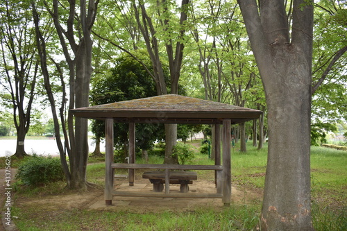 日本 埼玉 高岩公園 5月の風景