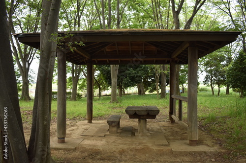 日本 埼玉 高岩公園 5月の風景