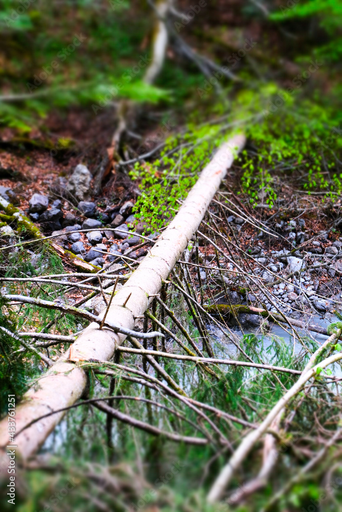 Nature River Canyon photographed with tilt shift effect, Austria, Europe Nature River Canyon photographed with tilt shift effect, Austria, Europe