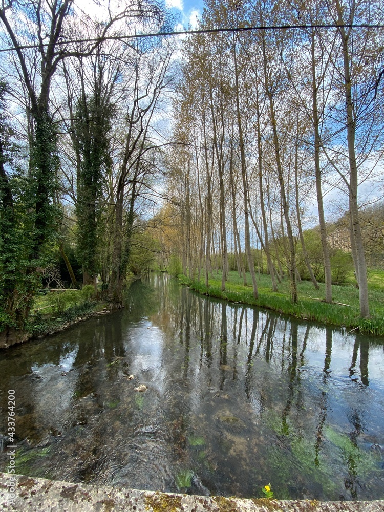 Obraz premium Rivière Auxance au milieu des bois de Quincay
