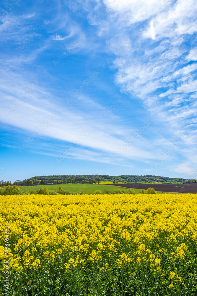Awesome landscape view with flowering rapeseed