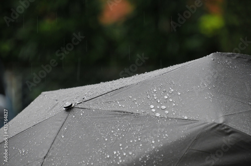 雨に濡れた撥水加工の黒い雨傘 photo