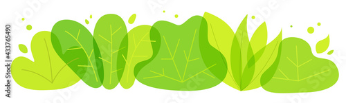 Vector banner of green leaves on white background