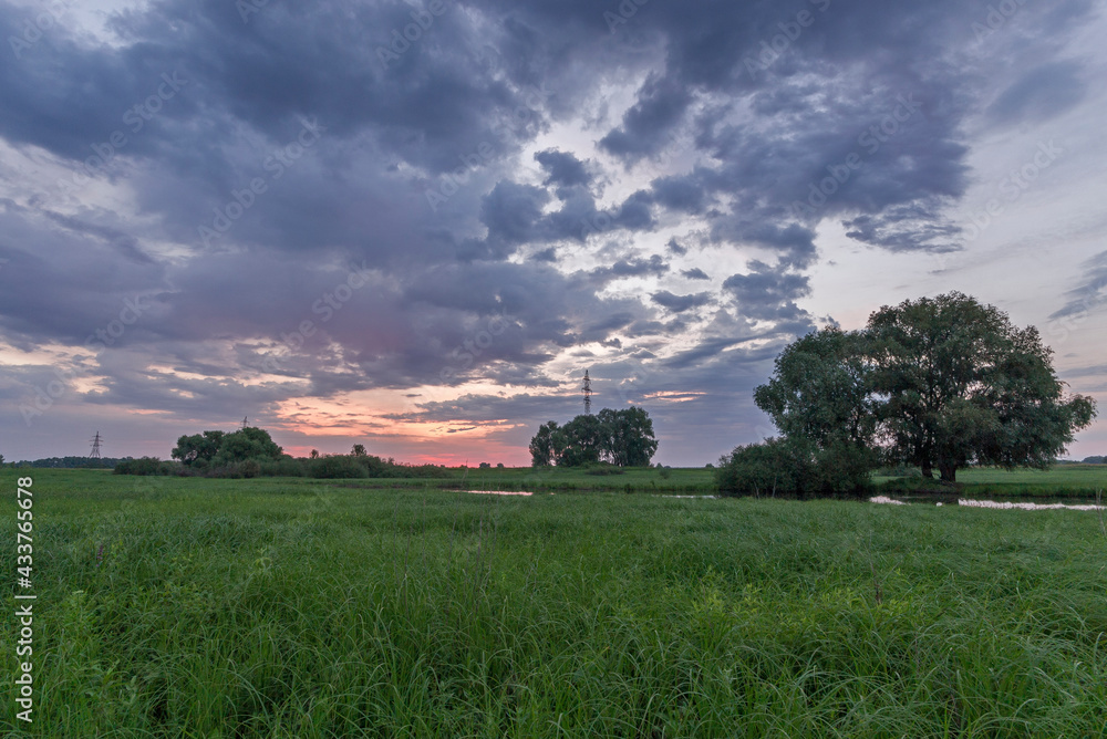 Obraz premium sunrise over the field