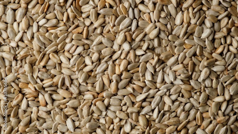 shelled sunflower seeds top view shelled sunflower seeds top view