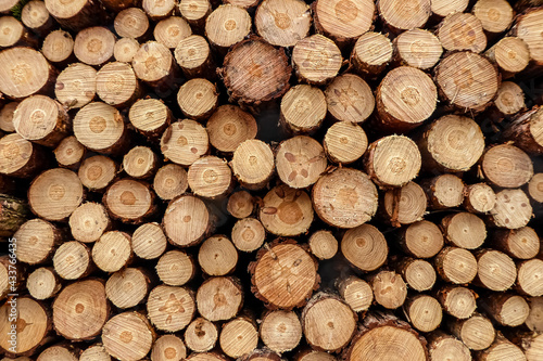 Holzstapel in Querschnittsansicht. Gro  e Nachfrage nach Bauholz im Jahr 2021 in Deutschland.