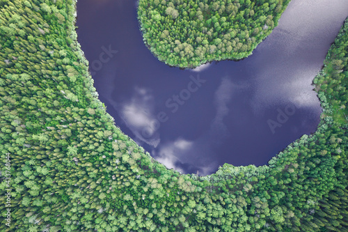 Landscapes of wild taiga in cold Russian Siberia