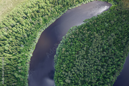 Landscapes of wild taiga in cold Russian Siberia