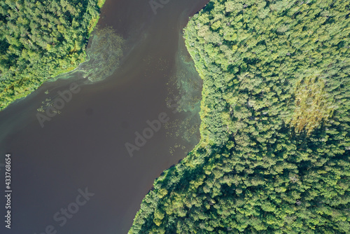 Landscapes of wild taiga in cold Russian Siberia