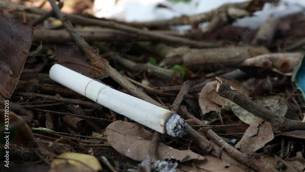 Cigarettes are the cause of the fire Cigarettes are the cause of the fire