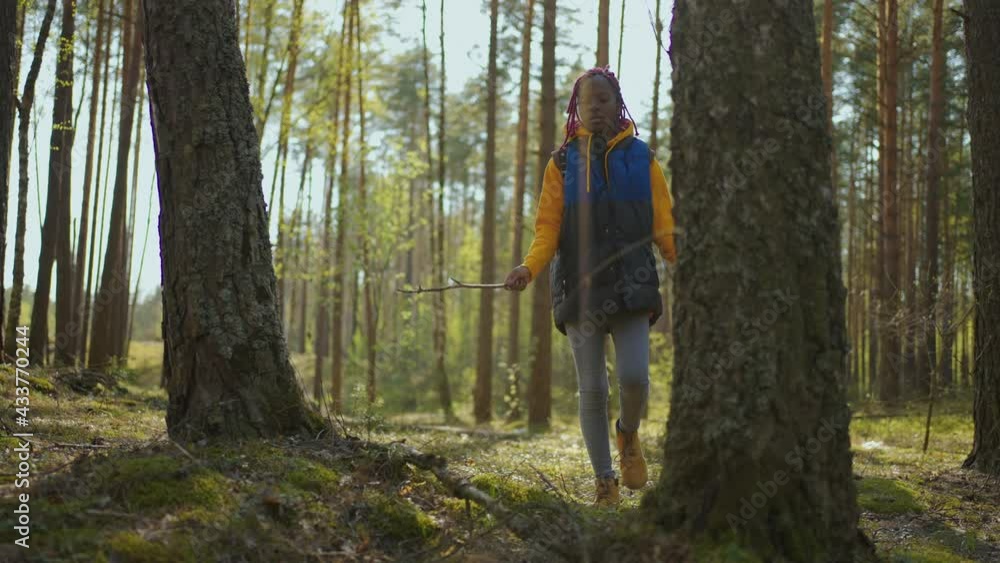 Hiker african black backpacker woman on hiking adventure feeling freedom walking in forest, Female enjoy her holidays near lots of tree. Slow motion Hiker african black backpacker woman on hiking adventure feeling freedom walking in forest, Female enjoy her holidays near lots of tree. Slow motion