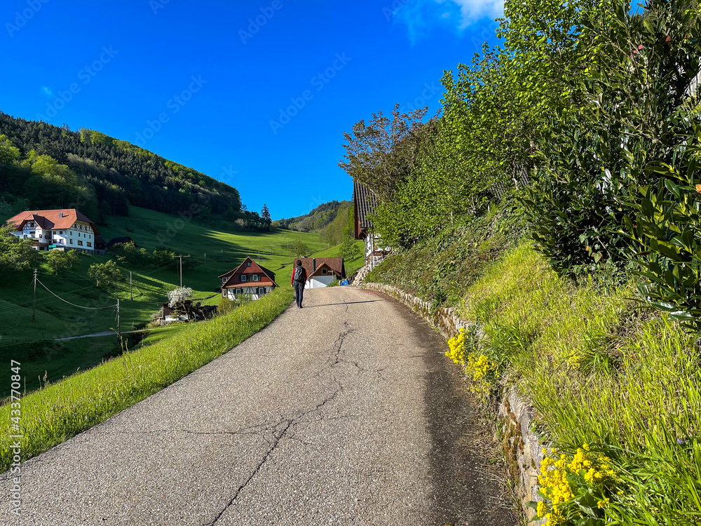 Wanderung im Schwarzwald Wanderung im Schwarzwald