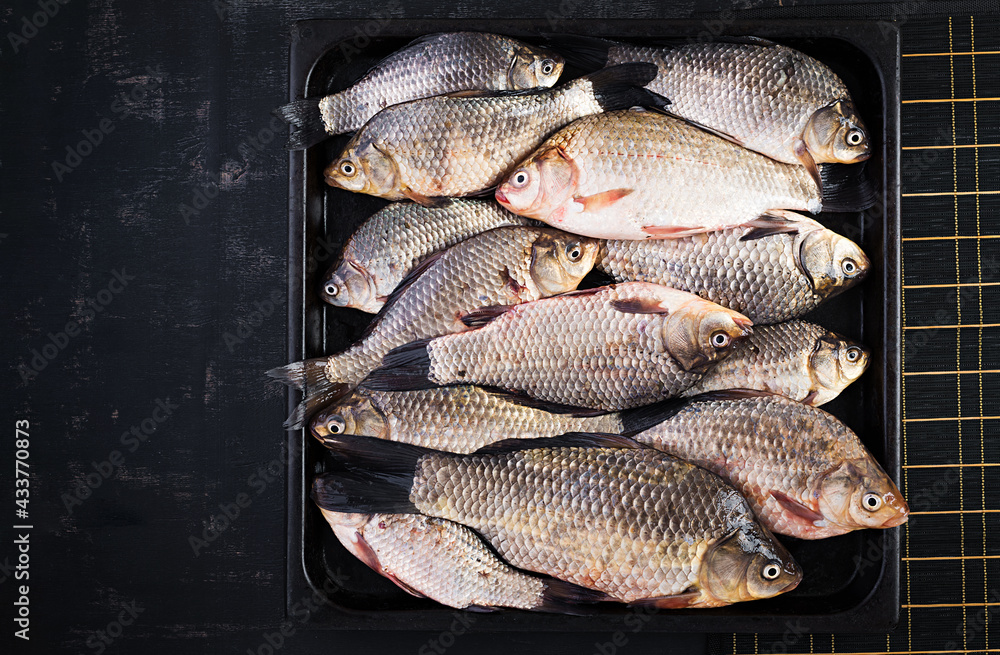 Obraz premium The raw crucians fish, live raw fish, crucian carp close-up. Top view, above, texture