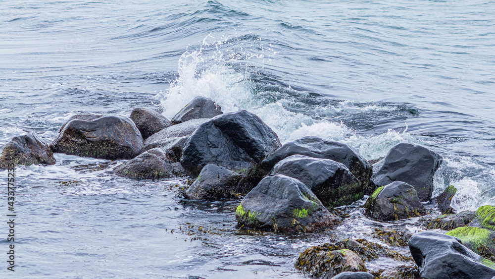 Naklejka premium Meer