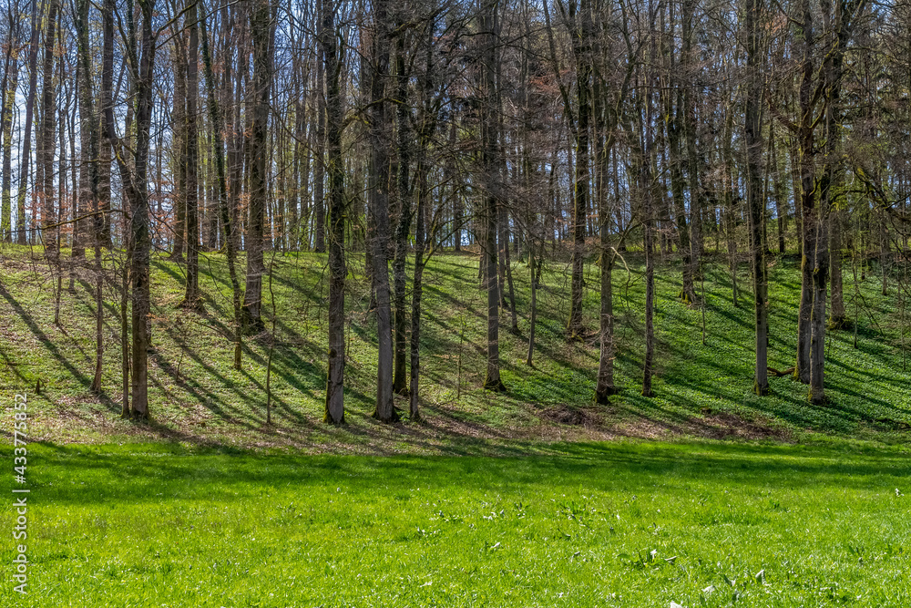 Obraz premium sunny spring time scenery