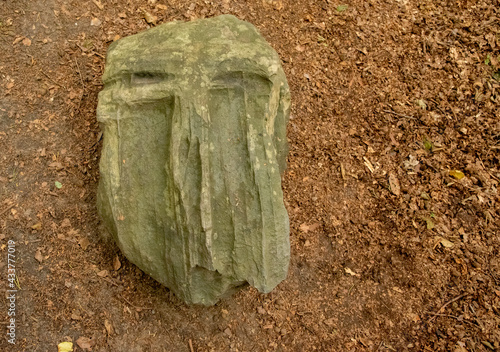 Kamienna twarz, gdańsk oliwa