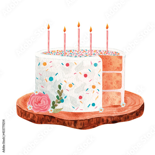 Boho cake clipart, Watercolor birthday cake PNG set, Dessert clipart, Sweet bakery clipart, Logo cake design, Pastel pink cake with flowers