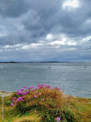 Beautiful seascape at Trevou-Treguignec in Brittany France © aquaphoto