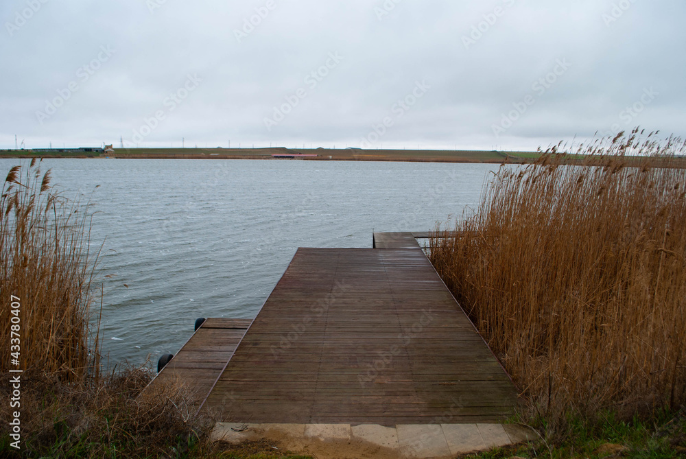 The image of a narrow wooden bridge leading to the lake and reeds. Long and narrow bridge with reeds on the right